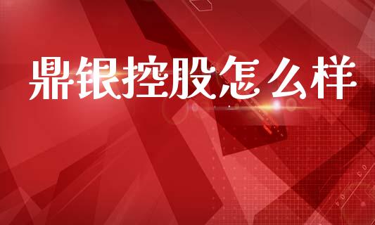 鼎银控股怎么样_https://www.fcdydaikuan.com_恒生指数直播室_第1张