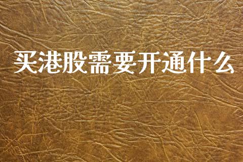 买港股需要开通什么_https://www.fcdydaikuan.com_德指期货直播_第1张