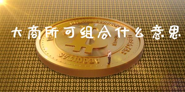 大商所可组合什么意思_https://www.fcdydaikuan.com_黄金期货直播_第1张