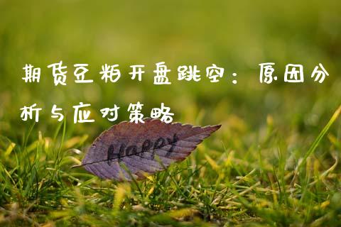 期货豆粕开盘跳空：原因分析与应对策略_https://www.fcdydaikuan.com_恒指期货直播_第1张