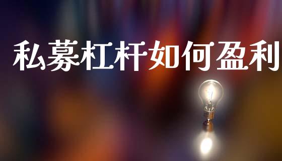 私募杠杆如何盈利_https://www.fcdydaikuan.com_恒生指数直播室_第1张