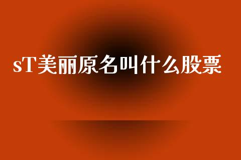 sT美丽原名叫什么股票_https://www.fcdydaikuan.com_德指期货直播_第1张