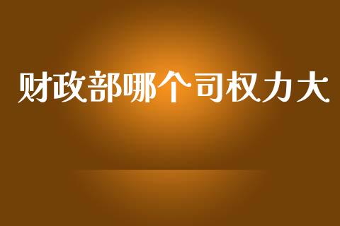 财政部哪个司权力大_https://www.fcdydaikuan.com_恒指期货直播_第1张