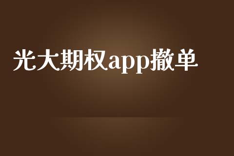 光大期权app撤单_https://www.fcdydaikuan.com_德指期货直播_第1张