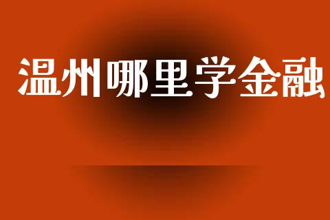 温州哪里学金融_https://www.fcdydaikuan.com_恒指期货直播_第1张
