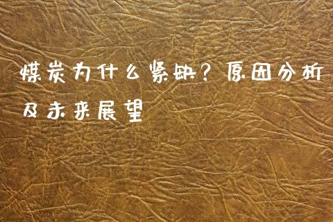 煤炭为什么紧缺？原因分析及未来展望_https://www.fcdydaikuan.com_恒生指数直播室_第1张