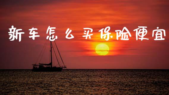 新车怎么买保险便宜_https://www.fcdydaikuan.com_恒生指数直播室_第1张