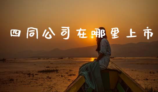 四同公司在哪里上市_https://www.fcdydaikuan.com_恒生指数直播室_第1张