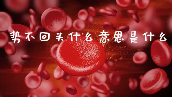 势不回头什么意思是什么_https://www.fcdydaikuan.com_恒指期货直播_第1张