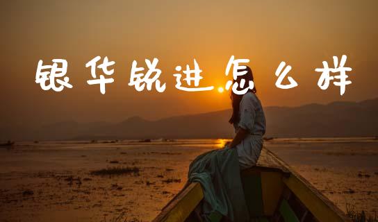 银华锐进怎么样_https://www.fcdydaikuan.com_黄金期货直播_第1张