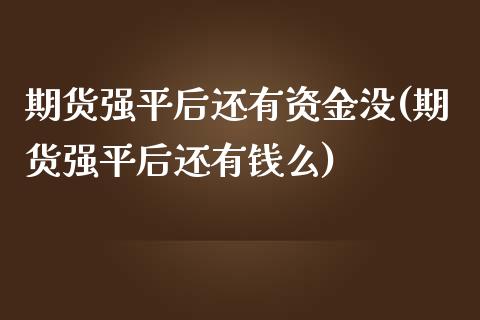 期货强平后还有资金没(期货强平后还有钱么)_https://www.fcdydaikuan.com_恒生指数直播室_第1张