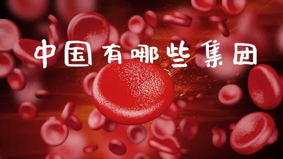 中国有哪些集团_https://www.fcdydaikuan.com_恒指期货直播_第1张