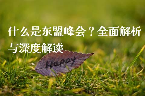 什么是东盟峰会？全面解析与深度解读_https://www.fcdydaikuan.com_黄金期货直播_第1张