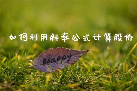 如何利用斜率公式计算股价_https://www.fcdydaikuan.com_黄金期货直播_第1张