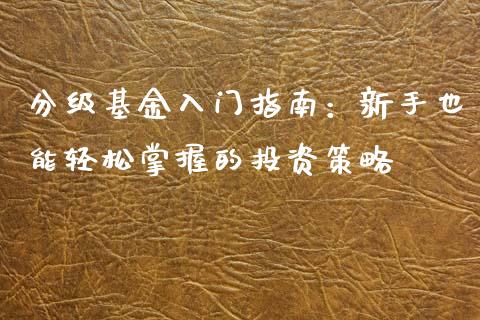 分级基金入门指南：新手也能轻松掌握的投资策略_https://www.fcdydaikuan.com_德指期货直播_第1张