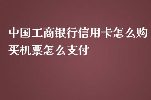 中国工商银行信用卡怎么购买机票怎么支付_https://www.fcdydaikuan.com_德指期货直播_第1张