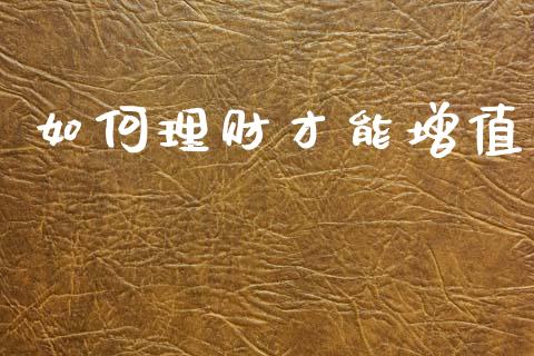 如何理财才能增值_https://www.fcdydaikuan.com_恒指期货直播_第1张