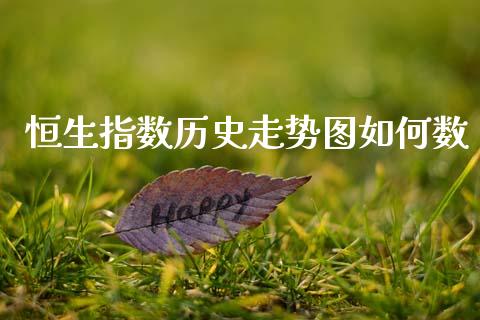 恒生指数历史走势图如何数_https://www.fcdydaikuan.com_恒生指数直播室_第1张