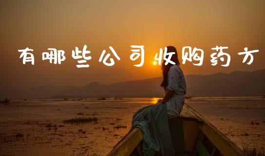有哪些公司收购药方_https://www.fcdydaikuan.com_黄金期货直播_第1张