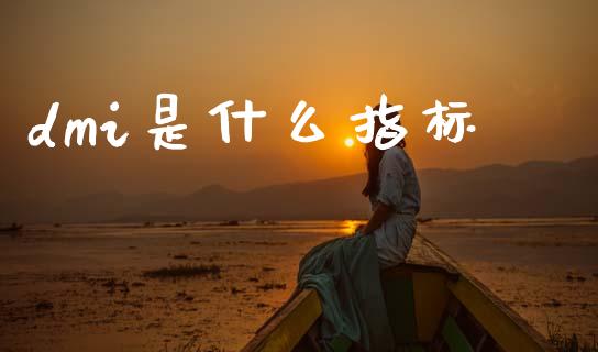 dmi是什么指标_https://www.fcdydaikuan.com_恒生指数直播室_第1张