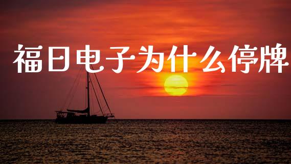 福日电子为什么停牌_https://www.fcdydaikuan.com_恒指期货直播_第1张