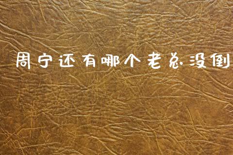 周宁还有哪个老总没倒_https://www.fcdydaikuan.com_恒生指数直播室_第1张