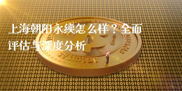 上海朝阳永续怎么样？全面评估与深度分析_https://www.fcdydaikuan.com_恒指期货直播_第1张