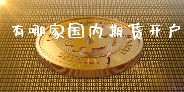 有哪家国内期货开户_https://www.fcdydaikuan.com_德指期货直播_第1张