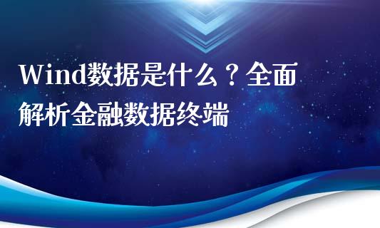 Wind数据是什么？全面解析金融数据终端_https://www.fcdydaikuan.com_黄金期货直播_第1张