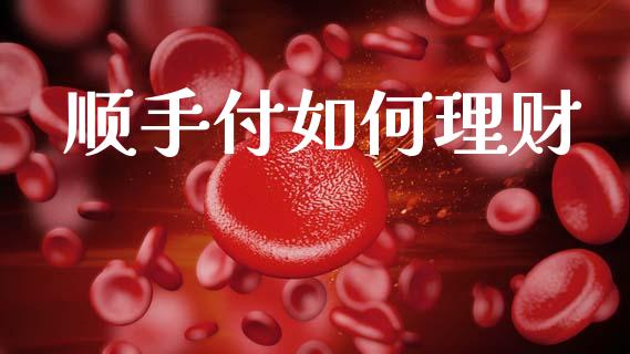 顺手付如何理财_https://www.fcdydaikuan.com_德指期货直播_第1张