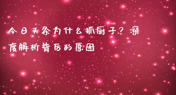 今日头条为什么抓厨子？深度解析背后的原因_https://www.fcdydaikuan.com_黄金期货直播_第1张
