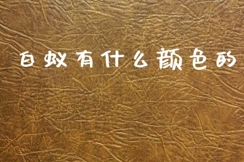 白蚁有什么颜色的_https://www.fcdydaikuan.com_恒生指数直播室_第1张