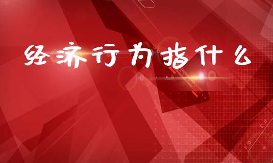 经济行为指什么_https://www.fcdydaikuan.com_恒生指数直播室_第1张