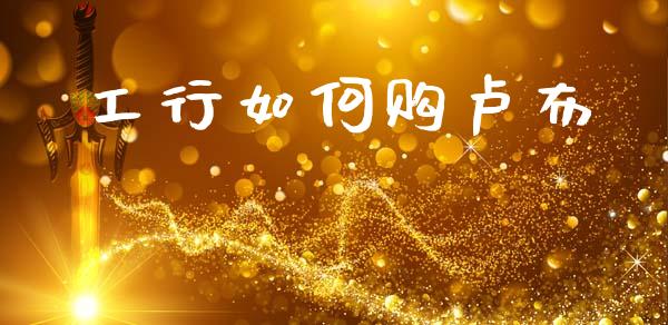 工行如何购卢布_https://www.fcdydaikuan.com_恒生指数直播室_第1张