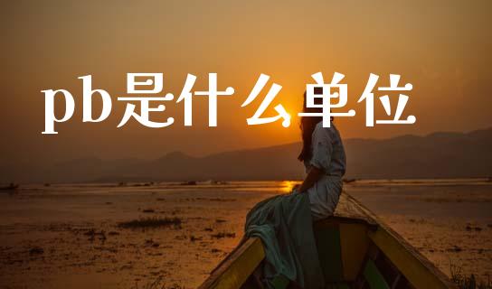 pb是什么单位_https://www.fcdydaikuan.com_德指期货直播_第1张