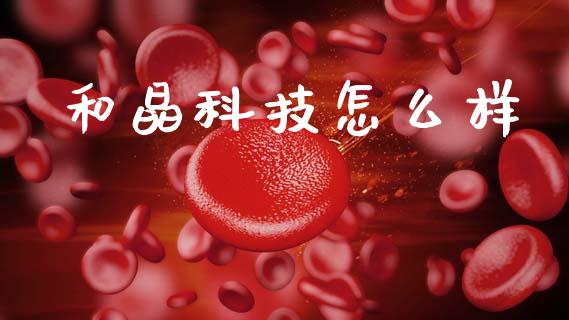 和晶科技怎么样_https://www.fcdydaikuan.com_恒生指数直播室_第1张