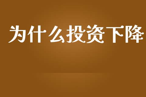 为什么投资下降_https://www.fcdydaikuan.com_德指期货直播_第1张