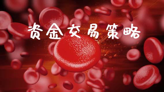 资金交易策略_https://www.fcdydaikuan.com_恒指期货直播_第1张