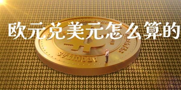 欧元兑美元怎么算的_https://www.fcdydaikuan.com_黄金期货直播_第1张