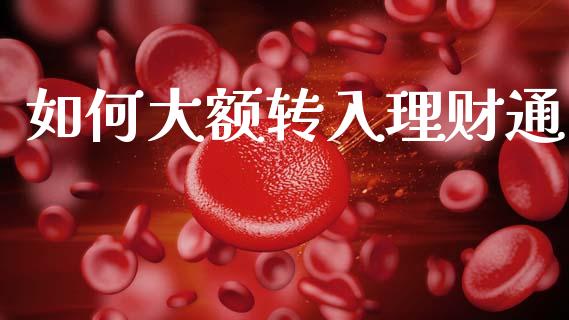 如何大额转入理财通_https://www.fcdydaikuan.com_德指期货直播_第1张