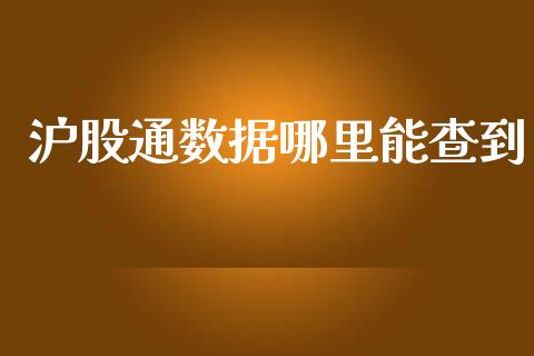沪股通数据哪里能查到_https://www.fcdydaikuan.com_黄金期货直播_第1张