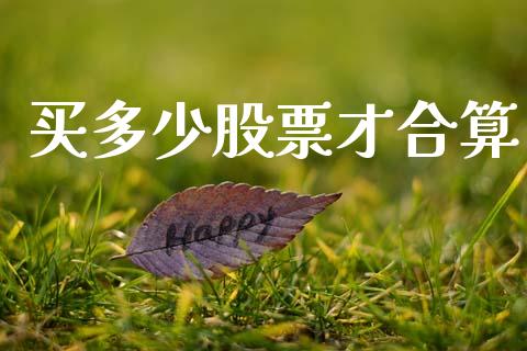 买多少股票才合算_https://www.fcdydaikuan.com_德指期货直播_第1张