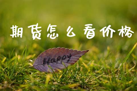 期货怎么看价格_https://www.fcdydaikuan.com_黄金期货直播_第1张