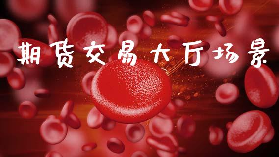 期货交易大厅场景_https://www.fcdydaikuan.com_黄金期货直播_第1张