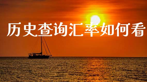 历史查询汇率如何看_https://www.fcdydaikuan.com_恒生指数直播室_第1张