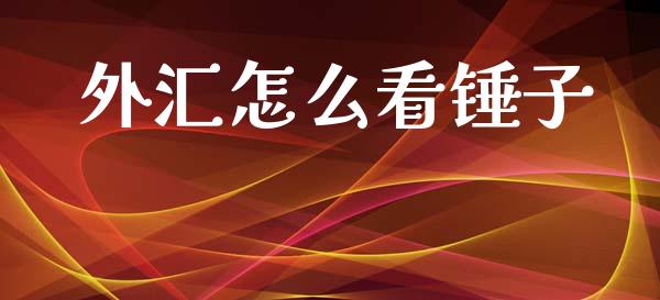 外汇怎么看锤子_https://www.fcdydaikuan.com_黄金期货直播_第1张