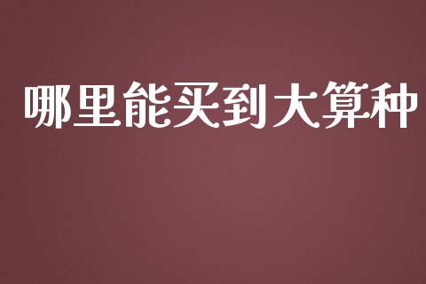 哪里能买到大算种_https://www.fcdydaikuan.com_恒生指数直播室_第1张