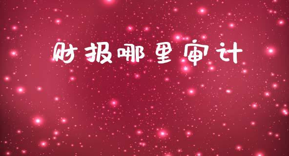 财报哪里审计_https://www.fcdydaikuan.com_黄金期货直播_第1张