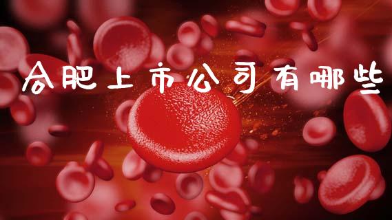 合肥上市公司有哪些_https://www.fcdydaikuan.com_恒指期货直播_第1张