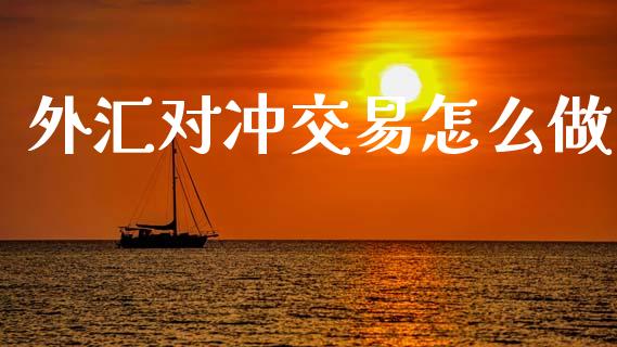 外汇对冲交易怎么做_https://www.fcdydaikuan.com_恒指期货直播_第1张